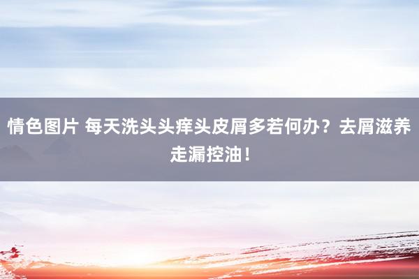 情色图片 每天洗头头痒头皮屑多若何办？去屑滋养走漏控油！