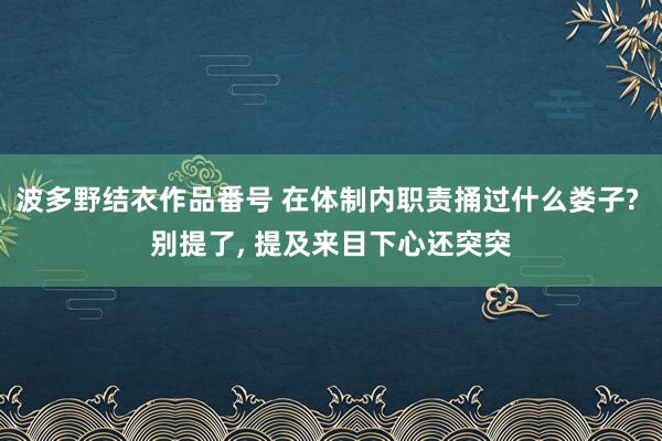 波多野结衣作品番号 在体制内职责捅过什么娄子? 别提了, 提及来目下心还突突