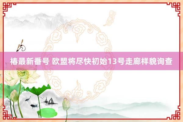 椿最新番号 欧盟将尽快初始13号走廊样貌询查