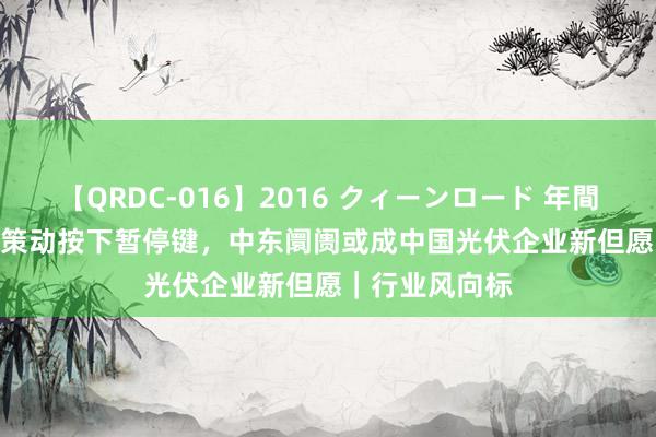 【QRDC-016】2016 クィーンロード 年間BEST10 融资策动按下暂停键，中东阛阓或成中国光伏企业新但愿｜行业风向标