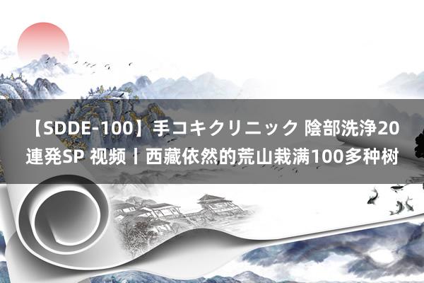 【SDDE-100】手コキクリニック 陰部洗浄20連発SP 视频丨西藏依然的荒山栽满100多种树