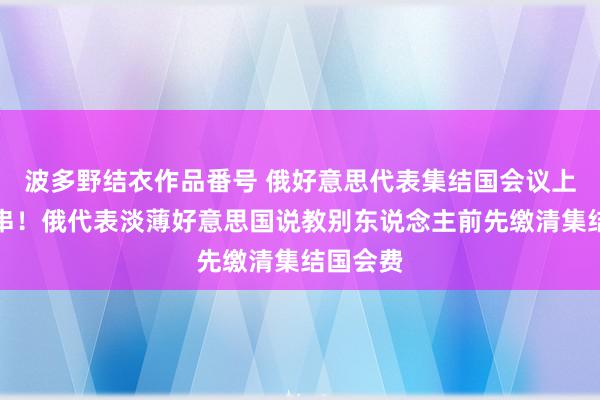 波多野结衣作品番号 俄好意思代表集结国会议上短兵贯串！俄代表淡薄好意思国说教别东说念主前先缴清集结国会费