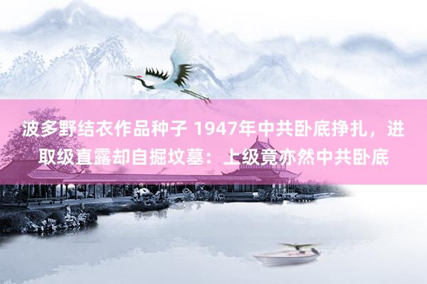 波多野结衣作品种子 1947年中共卧底挣扎，进取级直露却自掘坟墓：上级竟亦然中共卧底