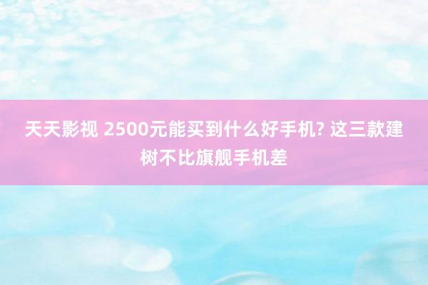 天天影视 2500元能买到什么好手机? 这三款建树不比旗舰手机差