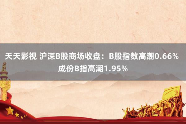 天天影视 沪深B股商场收盘：B股指数高潮0.66% 成份B指高潮1.95%