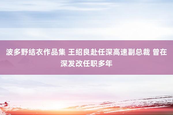 波多野结衣作品集 王绍良赴任深高速副总裁 曾在深发改任职多年