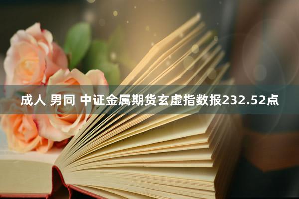 成人 男同 中证金属期货玄虚指数报232.52点