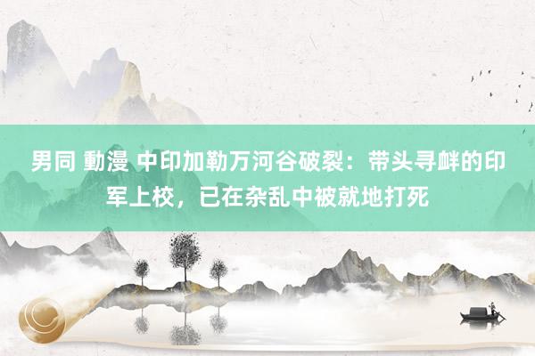 男同 動漫 中印加勒万河谷破裂：带头寻衅的印军上校，已在杂乱中被就地打死