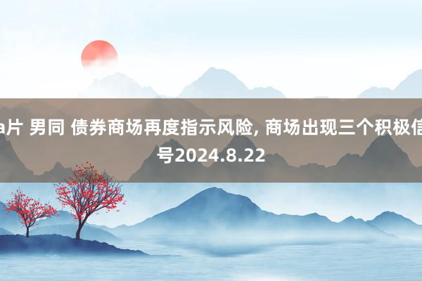 a片 男同 债券商场再度指示风险, 商场出现三个积极信号2024.8.22