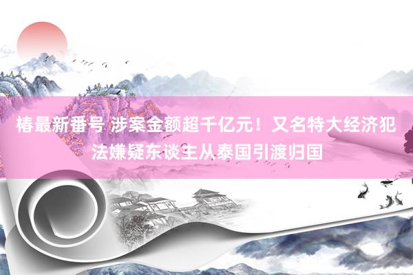 椿最新番号 涉案金额超千亿元！又名特大经济犯法嫌疑东谈主从泰国引渡归国