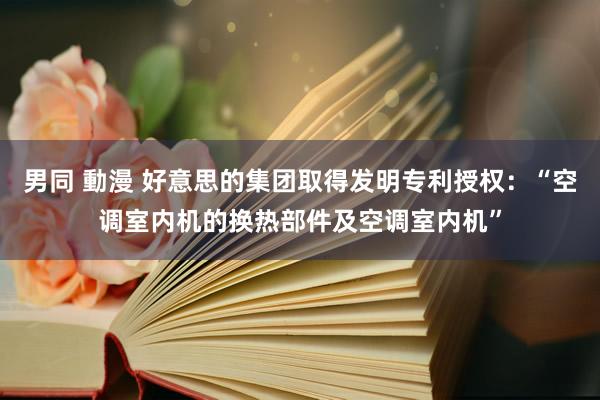 男同 動漫 好意思的集团取得发明专利授权：“空调室内机的换热部件及空调室内机”