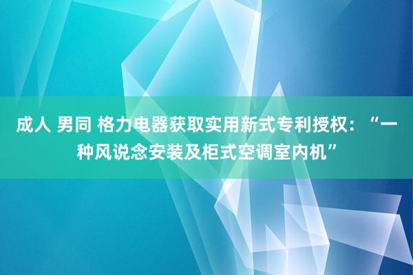 成人 男同 格力电器获取实用新式专利授权：“一种风说念安装及柜式空调室内机”