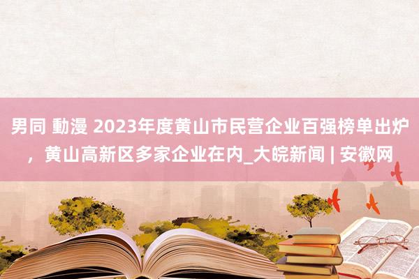 男同 動漫 2023年度黄山市民营企业百强榜单出炉，黄山高新区多家企业在内_大皖新闻 | 安徽网