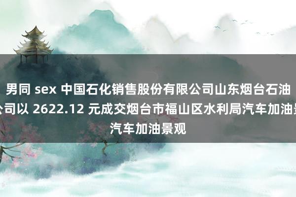 男同 sex 中国石化销售股份有限公司山东烟台石油分公司以 2622.12 元成交烟台市福山区水利局汽车加油景观