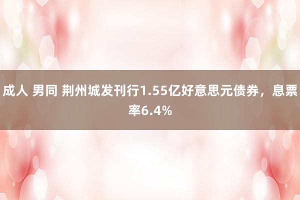 成人 男同 荆州城发刊行1.55亿好意思元债券，息票率6.4%